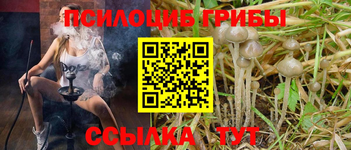 Рославль  Галлюциногенные грибы GOLDEN TEACHER  Галлюциногенные грибы MAGIC MUSHROOMS  Вход с VPN 